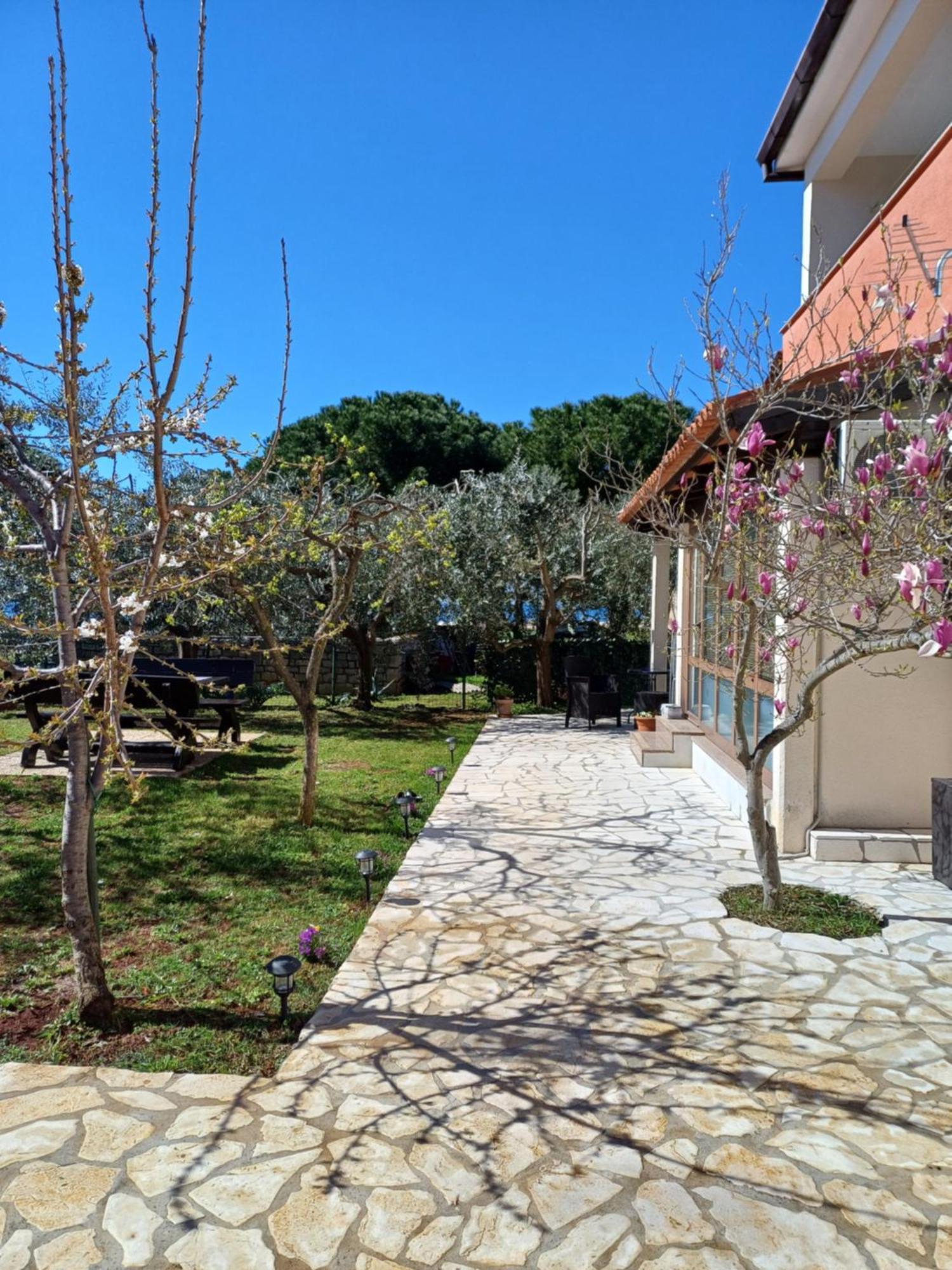 Apartments Grahovac Umag Ngoại thất bức ảnh