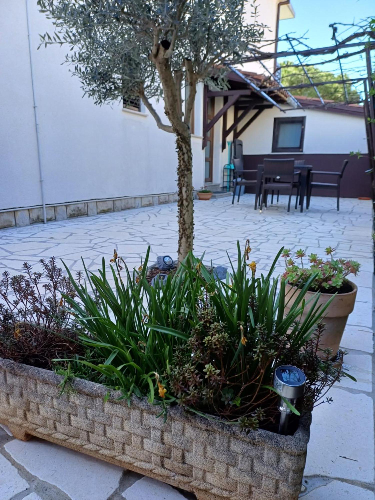 Apartments Grahovac Umag Ngoại thất bức ảnh